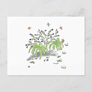 Maui hides under a bush announcement postcard