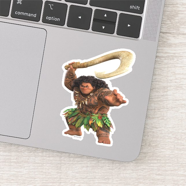 Maui Magical Hook (Detail)