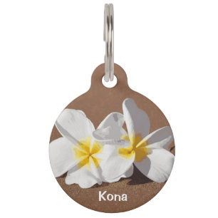 Maui Plumeria on the Beach Pet Tag