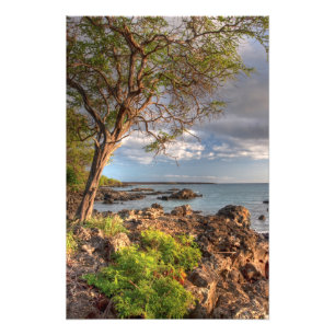 Maui shoreline photo print