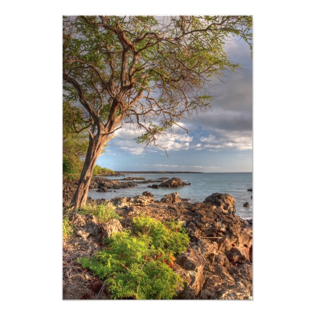 Maui shoreline photo print (Front)