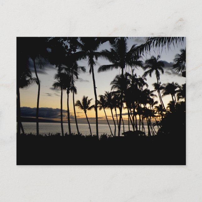 Maui Sunset Postcard (Front)