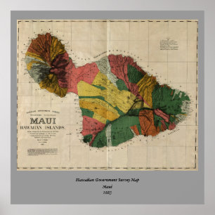 Maui - Vintage Antiquarian Hawaii Survey Map, 1885 Poster