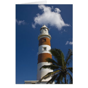 Maurice, l'ouest de l'île Maurice, Belle Vue, Alb