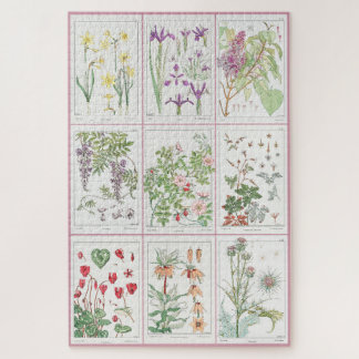 Maurice Pillard Verneuil Botanical Illustrations 1 Jigsaw Puzzle