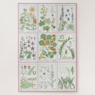 Maurice Pillard Verneuil Botanical Illustrations 2 Jigsaw Puzzle