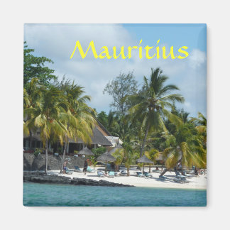 Mauritius , beach magnet
