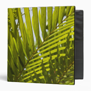 Mauritius, Central Mauritius, Moka, palm 2 Binder