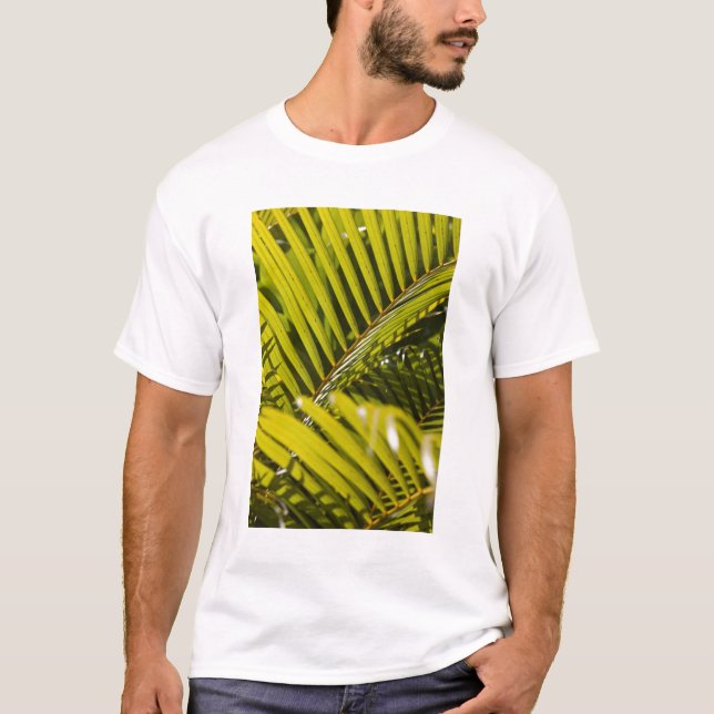 Mauritius, Central Mauritius, Moka, palm T-Shirt (Front)
