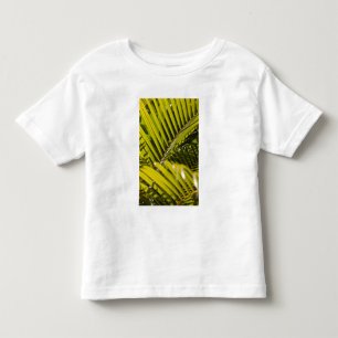 Mauritius, Central Mauritius, Moka, palm Toddler T-shirt