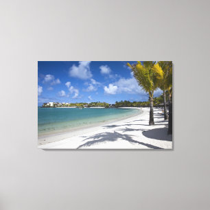Mauritius, Eastern Mauritius, Trou d' Eau Douce, Canvas Print