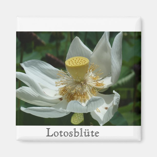 Mauritius, Loto Magnet (Front)