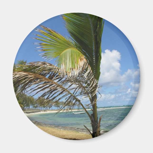 Mauritius Magnet (Front)