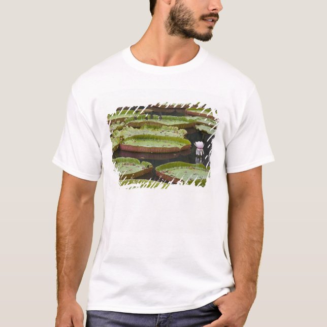 Mauritius, Pamplemousses, SSR Botanical T-Shirt (Front)