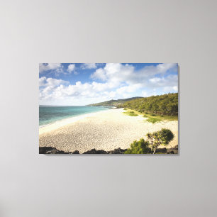 Mauritius, Rodrigues Island, St. Francois, St. Canvas Print
