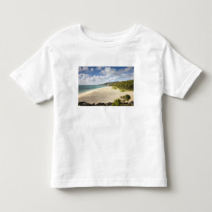 Mauritius, Rodrigues Island, St. Francois, St. Toddler T-shirt