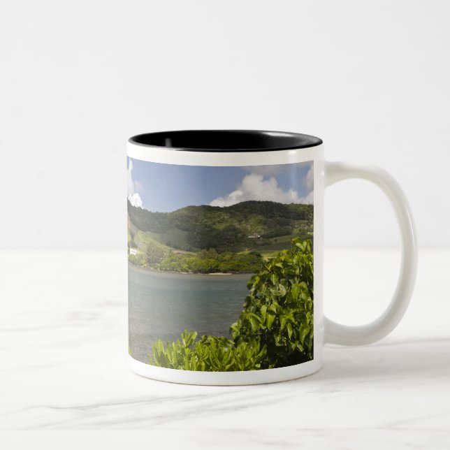 Mauritius, Southern Mauritius, Grand Sable, Two-Tone Coffee Mug (Right)