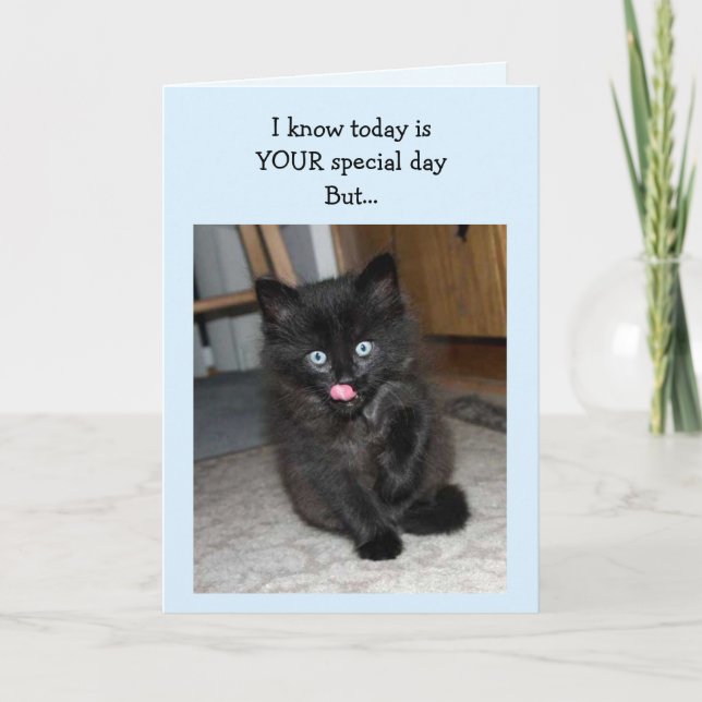 Mauser Kitten Bonne carte d'anniversaire (Devant)