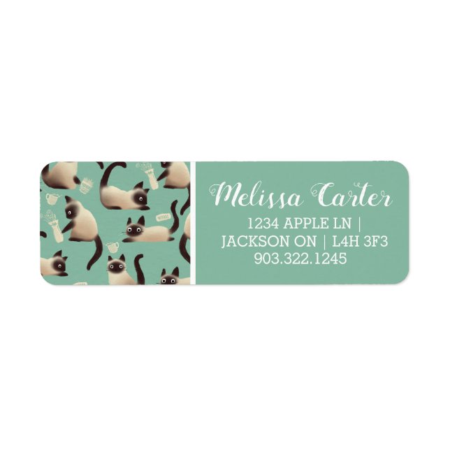 Mauvais chats siamois frapper des trucs (Devant)