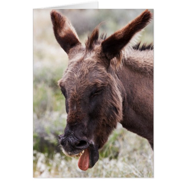 Mauvais goût (Devant)