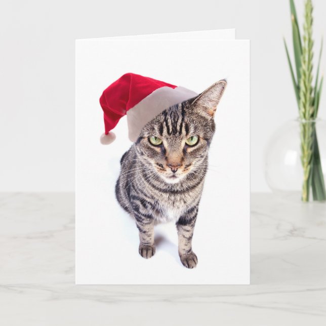 Mauvaise carte de Noël de chat de Père Noël (Devant)
