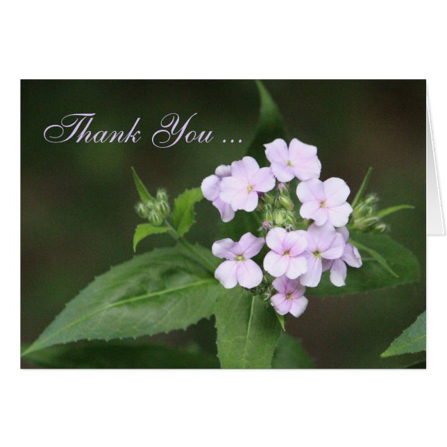Mauve garden floral (Front Horizontal)