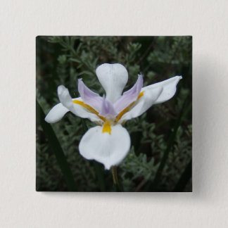 MAUVE IRIS FLOWER BADGE 2 INCH SQUARE BUTTON