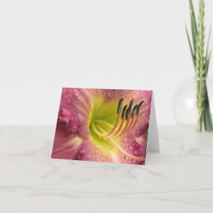 Mauve Lily Bloom in the rain - Greeting Card