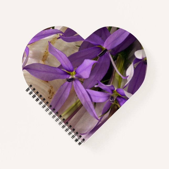 Mauve Starshine  Laurentia Notebook (Front)