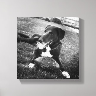 maverick canvas print