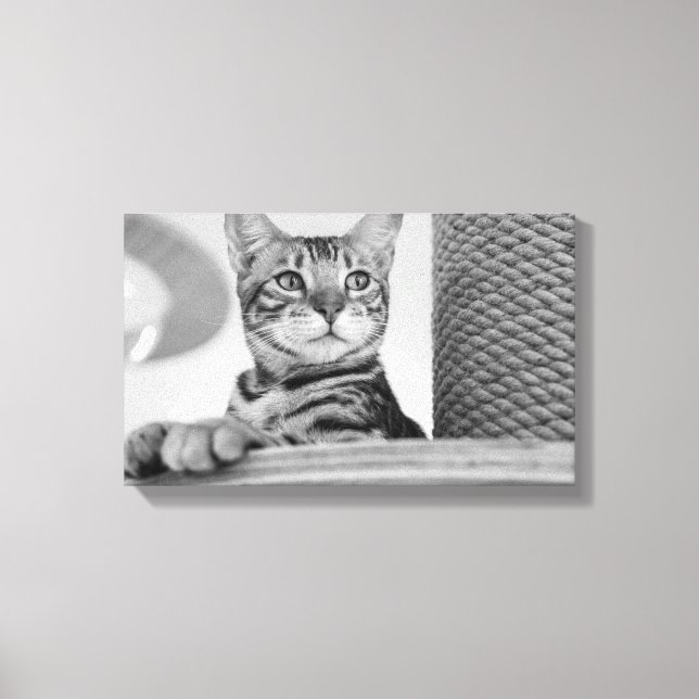 Maw  canvas print (Front)