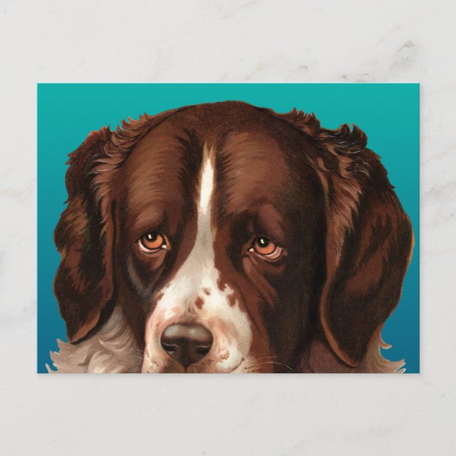 Max la carte postale Big Dog (Devant)