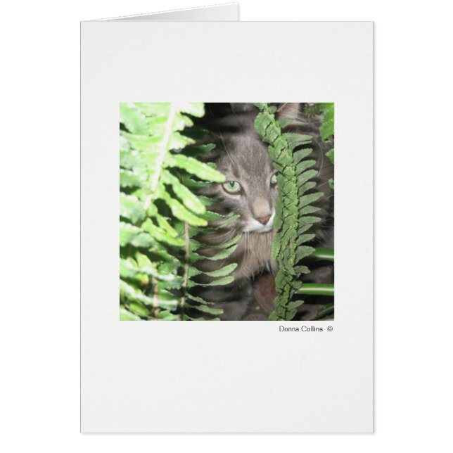 Max le chat #6 (Devant)