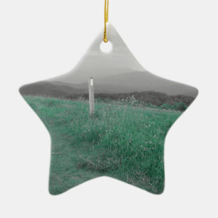 Max Patch Ceramic Ornament
