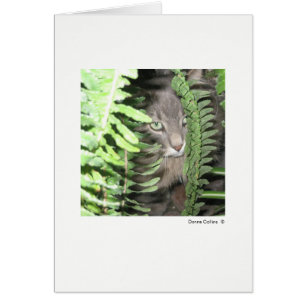 Max the Cat #6