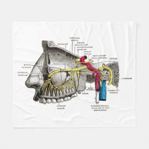 Maxillary nerves human anatomy fleece blanket