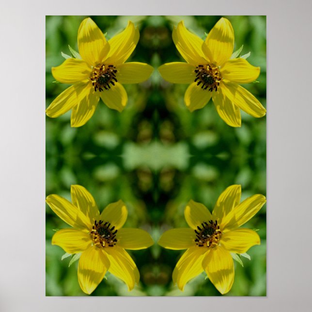 Maximilian Sunflower Floral Abstract  Poster (Front)