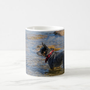 "Maximus" Bleu Heeler Coffee Mug