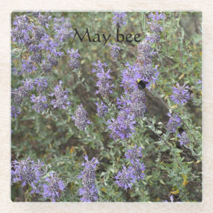 May bee glass coaster