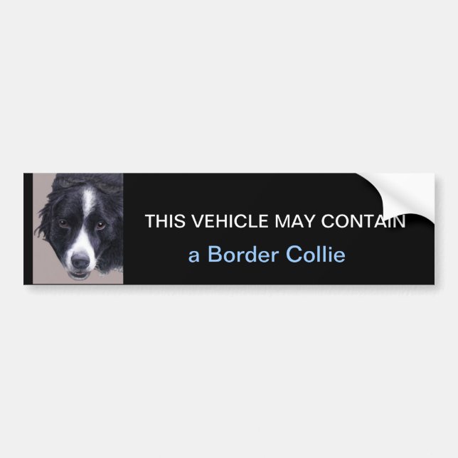 may contain a Border Collie Bumper Sticker (Front)