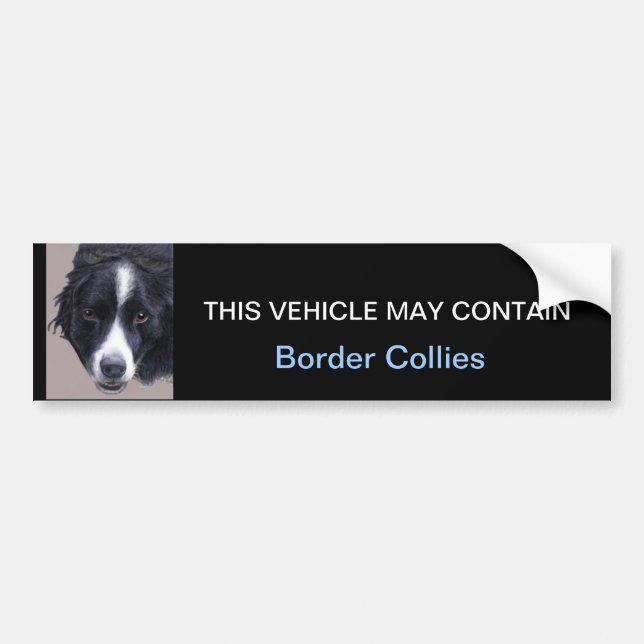 may contain Border Collies Bumper Sticker (Front)