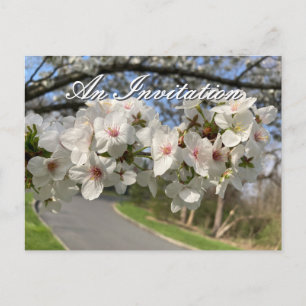 May Flowers Invitation Postcard