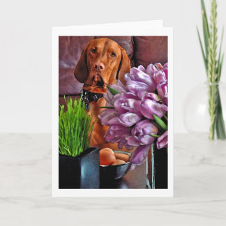 May I have one of those eggs? Holiday Card