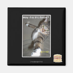 may I haz dis dance? Magnet
