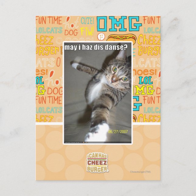 may I haz dis dance? Postcard (Front)