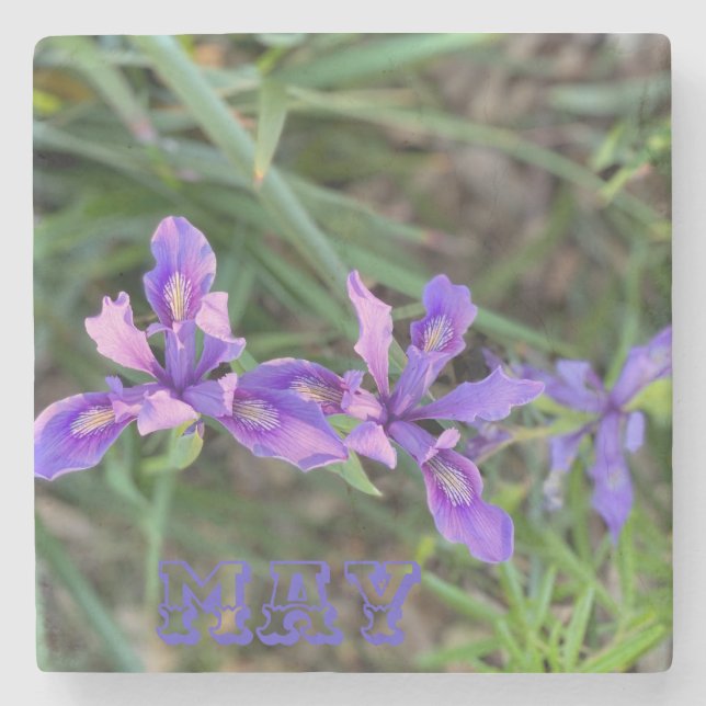 May Iris Stone Coaster (Front)