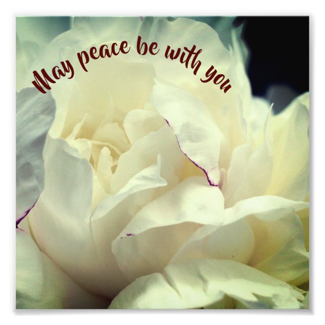 May Peace Be With You Peony Inspirational 8x8 Photo Print (Front)