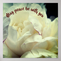 May Peace Be With You Peony Inspirational 