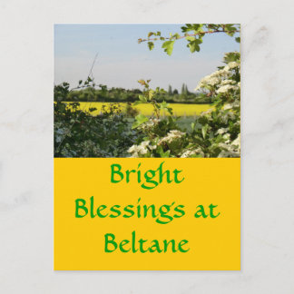 May Tree and Field at Beltane Postcard