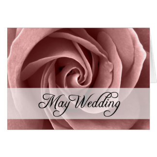 May Wedding : rose of the season :